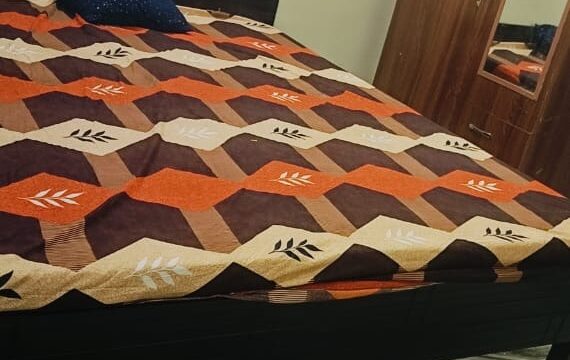 c6b39152-a4b3-4162-ae46-d877ef69c1b7