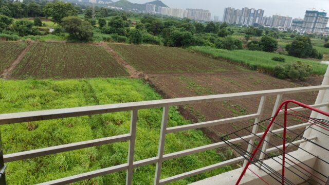 WhatsApp Image 2026-01-29 at 4.49.59 PM